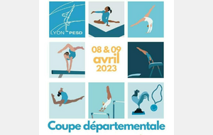 Coupe Départementale à la Halle Diagana 2023